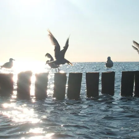 Zentrale Strandnahe Mit 3 Zimmern Spatzennest Apartmán
