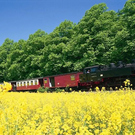 Zentrale Strandnahe Mit 3 Zimmern Spatzennest Apartmán Ostseebad Kühlungsborn